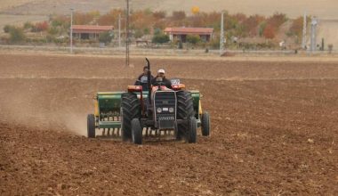 Çiftçilere 4,2 milyar liralık destek ödemesi bugün yapılacak