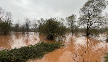 Karadeniz, taşkınlara karşı erken uyarı sistemiyle donatılıyor