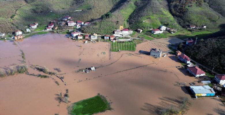 Sakarya Nehri taştı, tarım arazileri sular altında kaldı