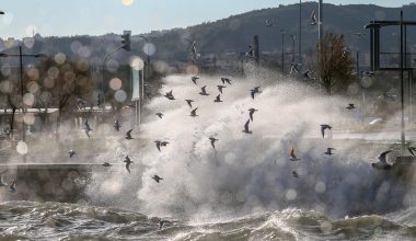 Fırtına, sağanak, kar…Meteoroloji’den 4 kente sarı uyarı