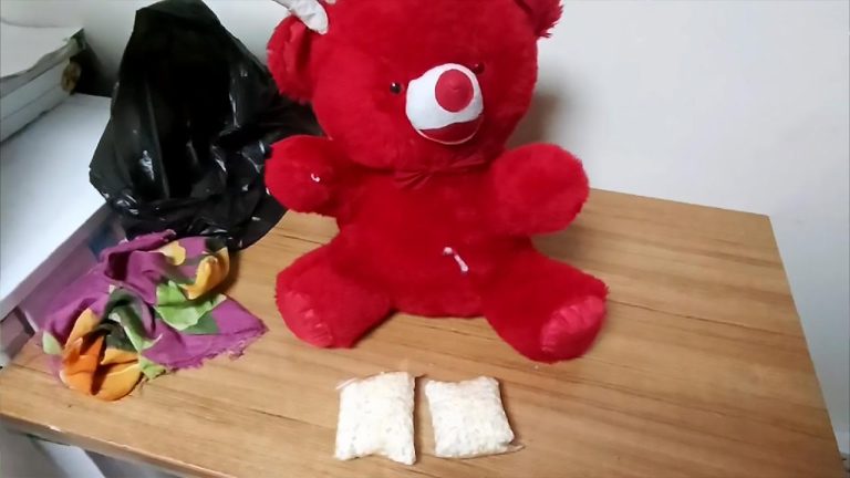 Oyuncak ayının içinden 1825 uyuşturucu hap çıktı