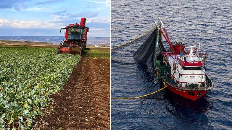 IPARD III’te ilk çağrı IPARD III’te ilk çağrı
