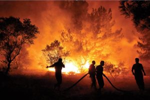 Orman yangınıyla mücadelede yerli yapay zeka sistemi uluslararası arenada yarışacak