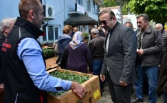 Sinop’un Ayancık ilçesinde vatandaşlara domates ve biber fidesi dağıtıldı