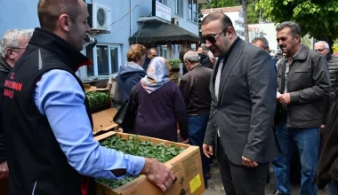 Sinop’un Ayancık ilçesinde vatandaşlara domates ve biber fidesi dağıtıldı