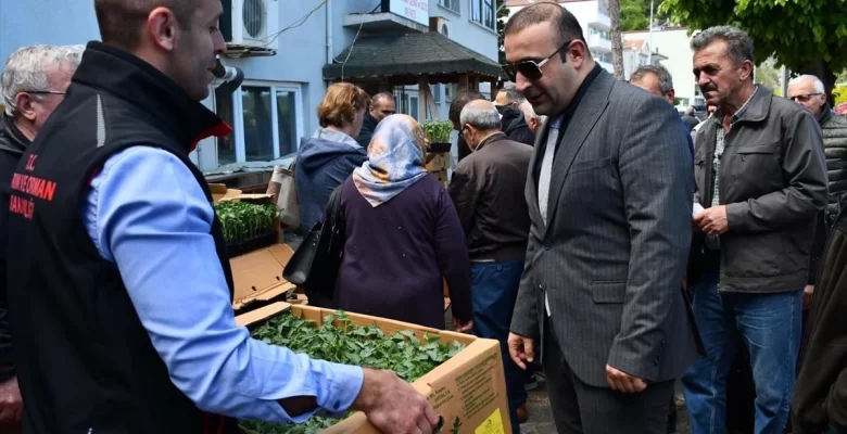 Sinop’un Ayancık ilçesinde vatandaşlara domates ve biber fidesi dağıtıldı