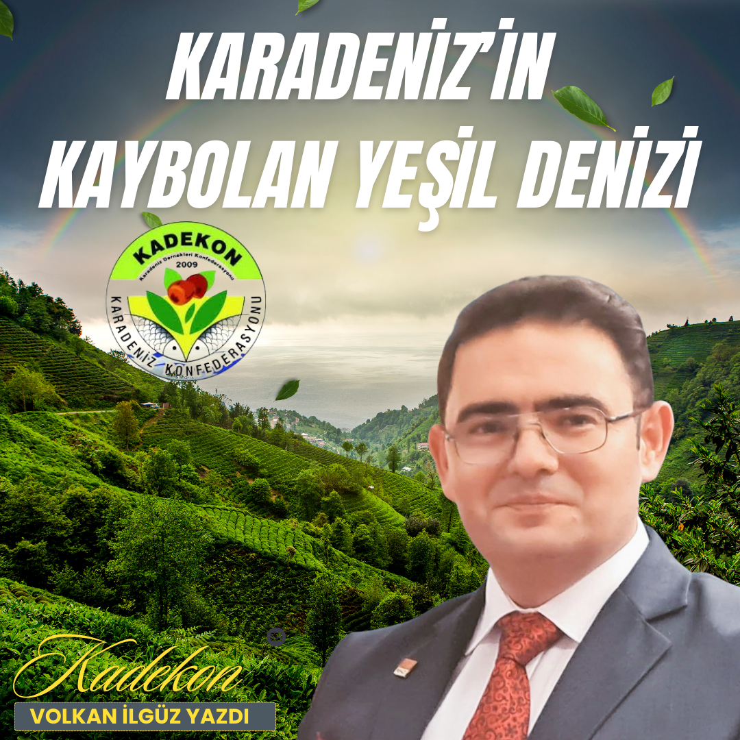 Karadeniz’in Kaybolan Yeşil Denizi