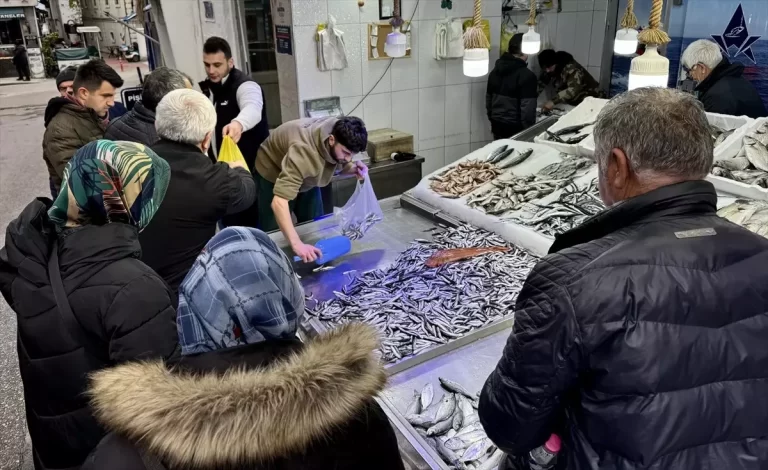 Sinop’ta Hamsi Sezonu Bereketli Geçiyor