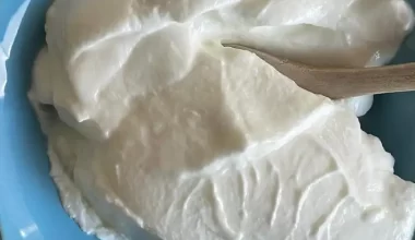 Yoğurt Türk’tür, Türk Kalacak