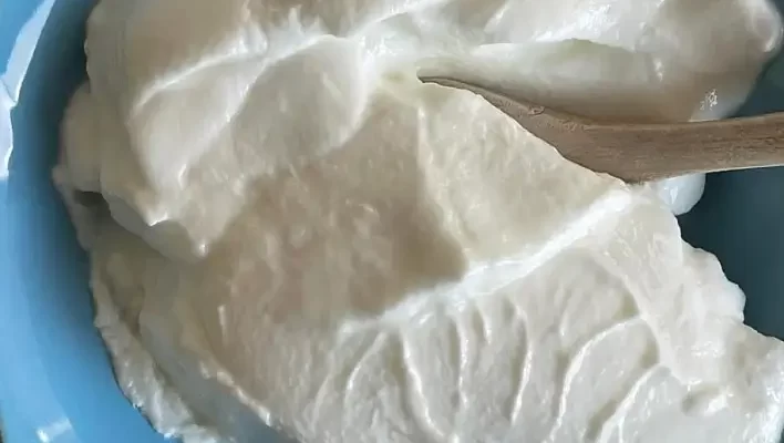 Yoğurt Türk’tür, Türk Kalacak